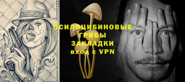 гидра Алзамай