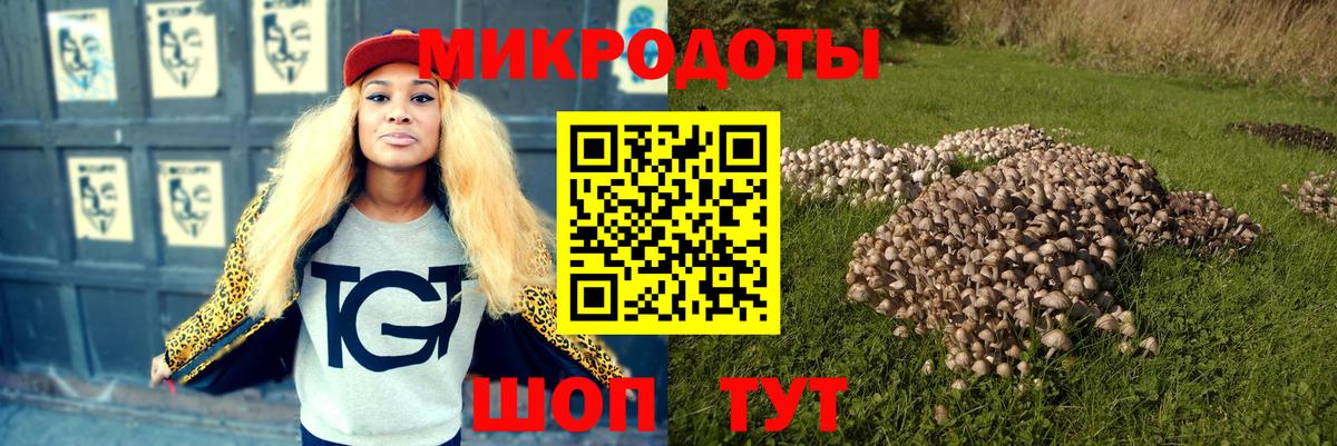 Сунжа  Псилоцибиновые грибы мухоморы  Вход с VPN  Галлюциногенные грибы мухоморы 
