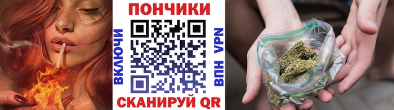 купить  цена  Сунжа  Канабис MAZAR 