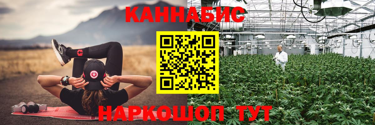 Шишки марихуана тримм  Бошки Шишки Amnesia  Сунжа  Вход с VPN 
